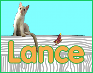 lance's profile button