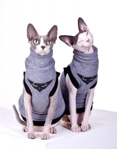 Sphynx Cat Wear Clothing Company Gang Sweatshirt